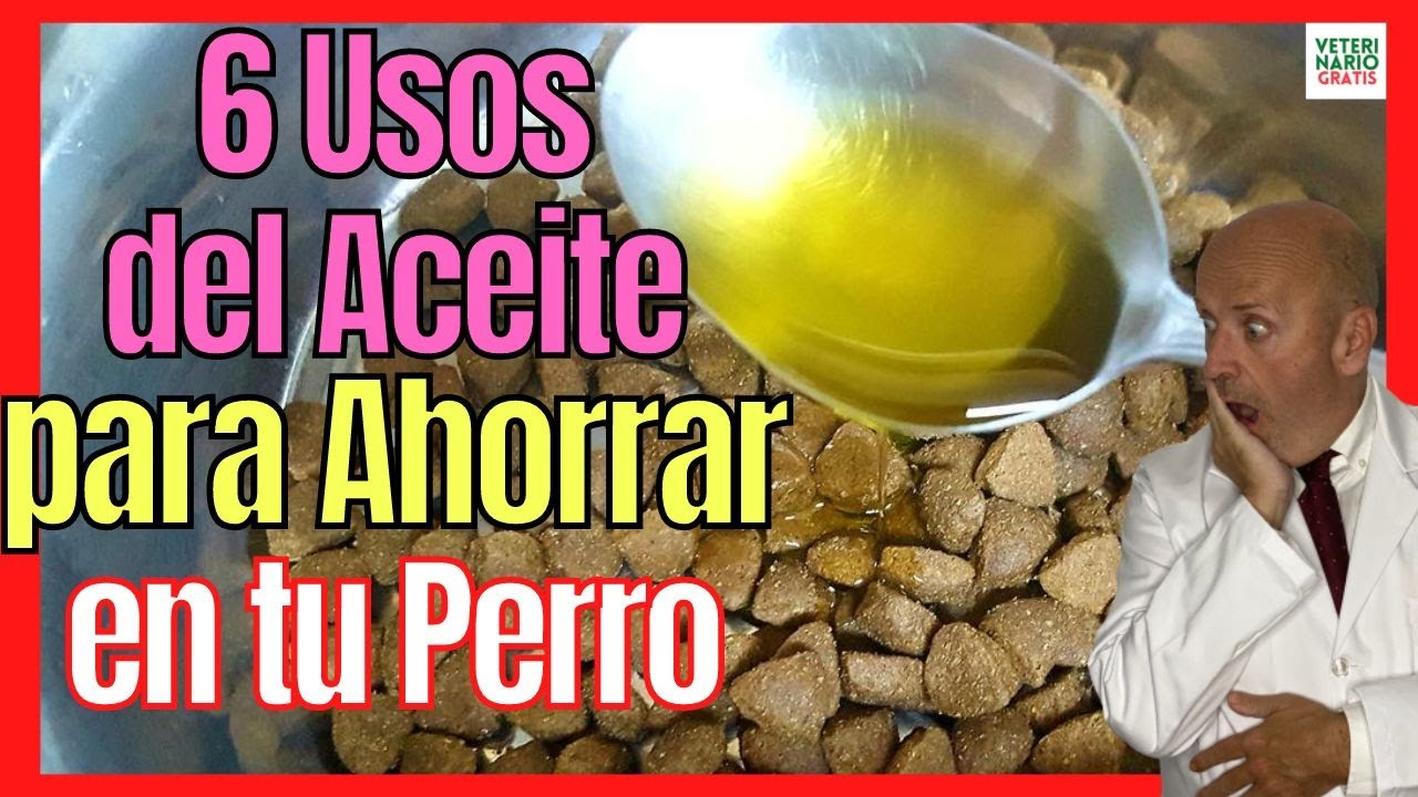 aceite de oliva para la otitis