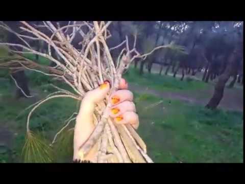 brujita de la suerte con escoba