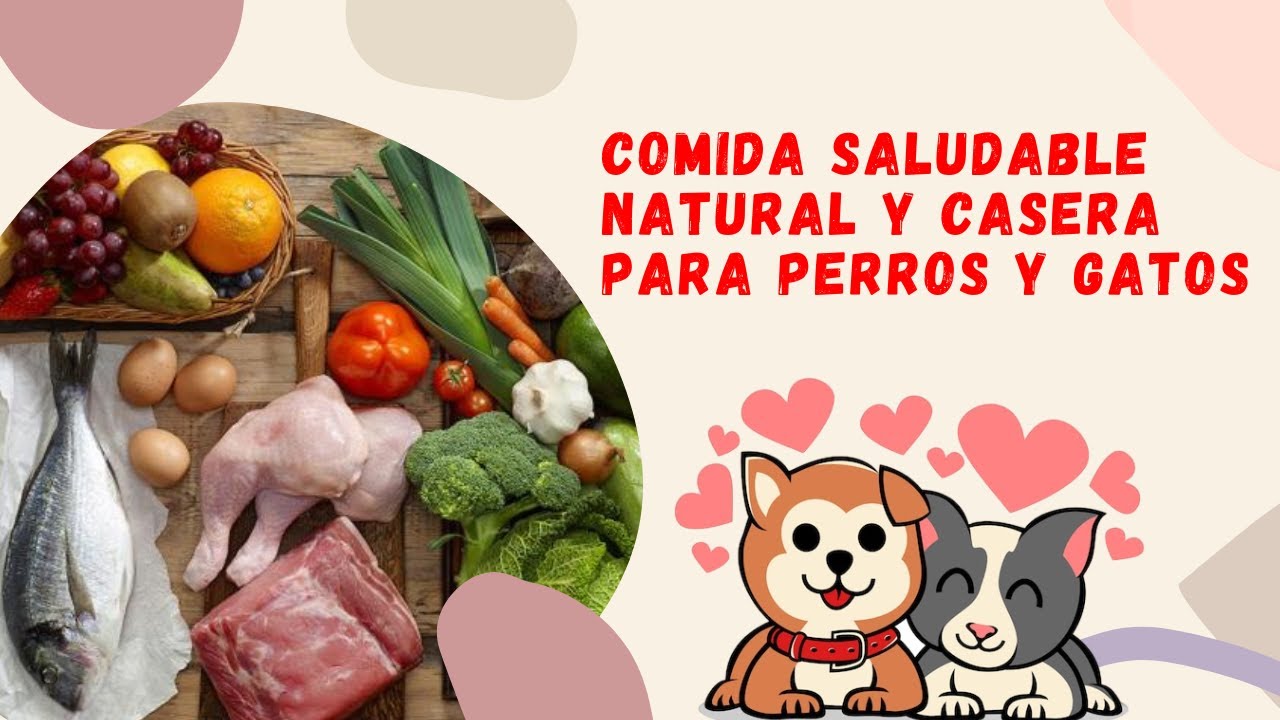 comidas saludables para perros y gatos