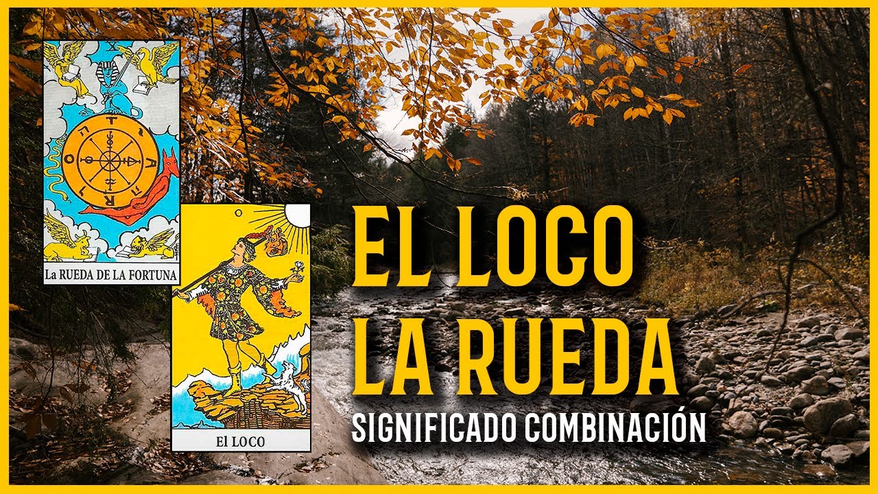 el loco y la rueda de la fortuna