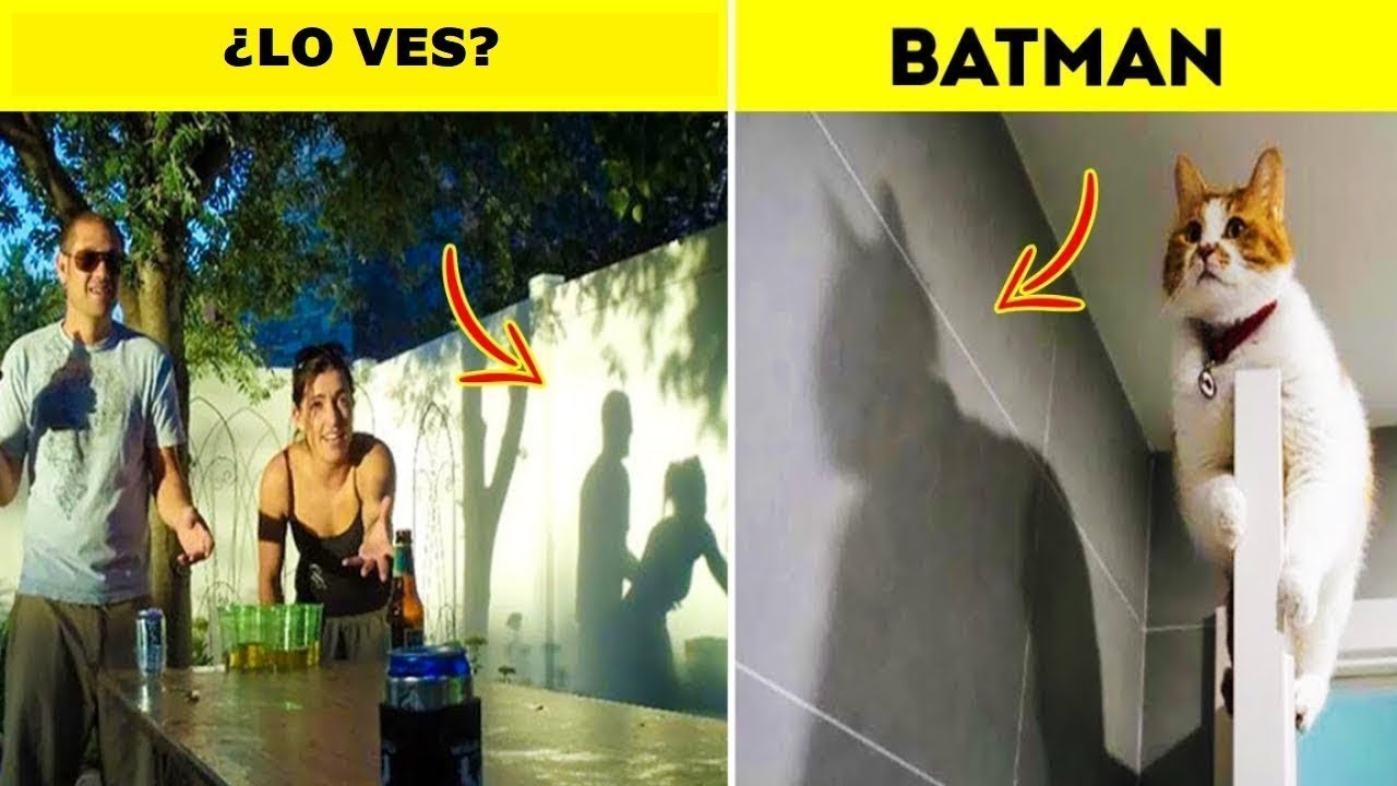 fotos que parecen lo que no son