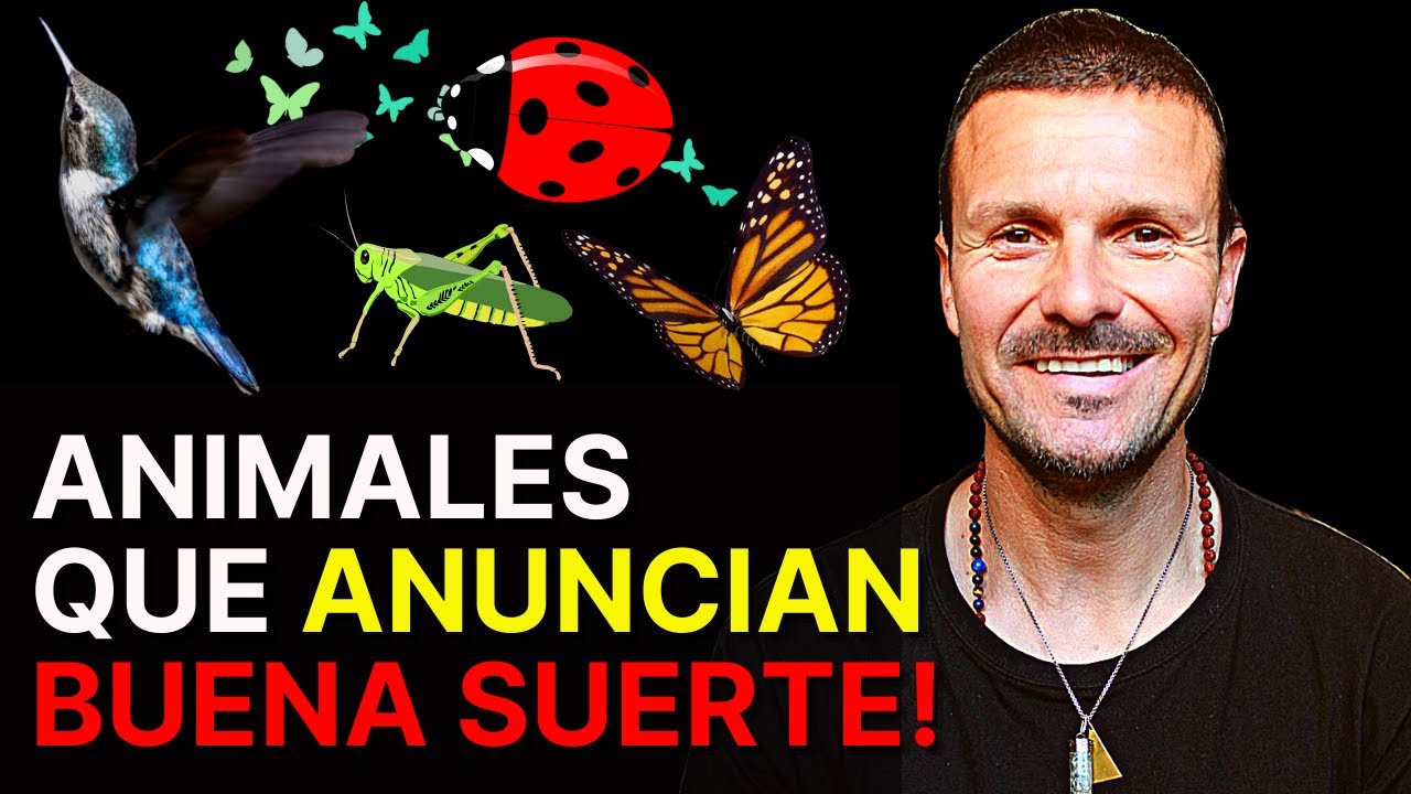 presagio cosa que anuncia buena o mala suerte