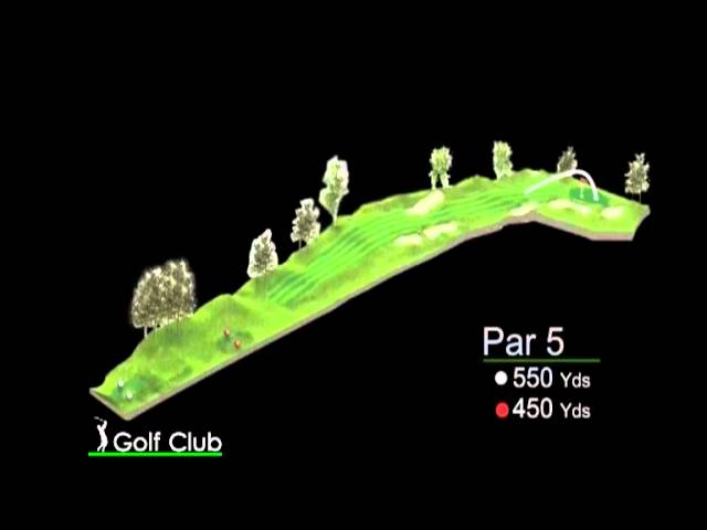 que es un birdie en golf