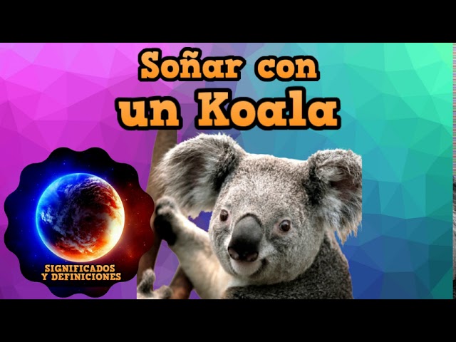 que significa soñar con un koala