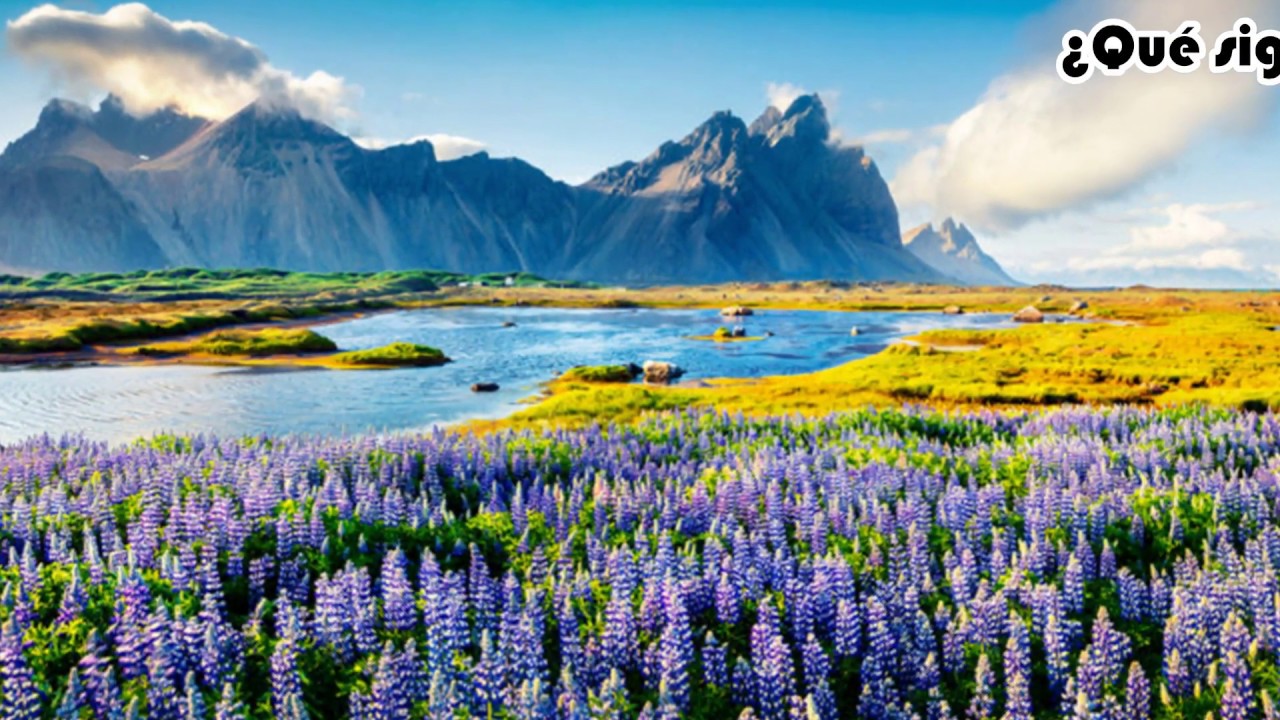 qué significa soñar con un paisaje hermoso