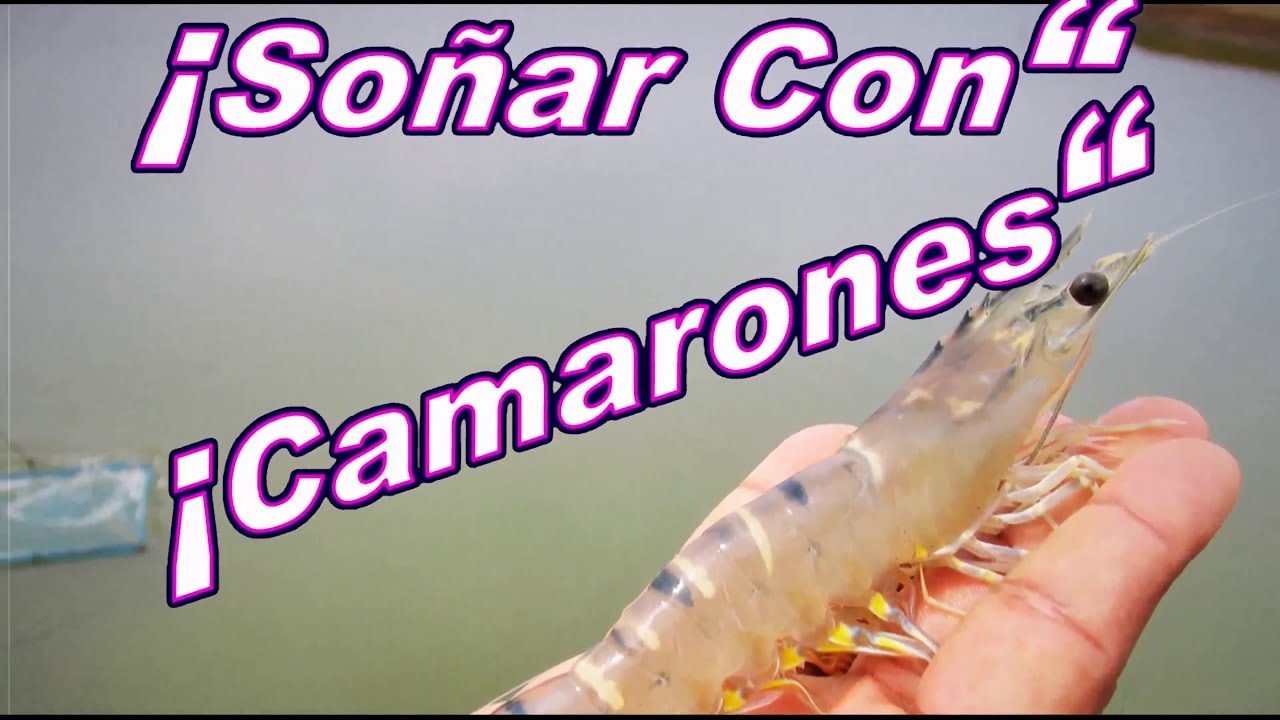 soñar con camarones vivos en el agua