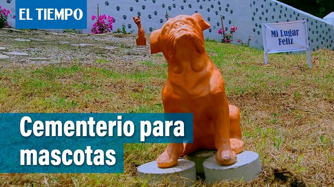 cementerio de mascotas cerca de mi
