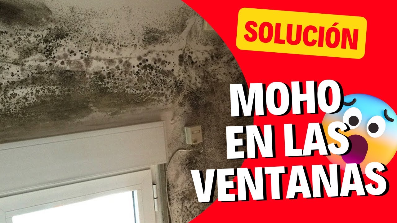como quitar el moho alrededor de las ventanas