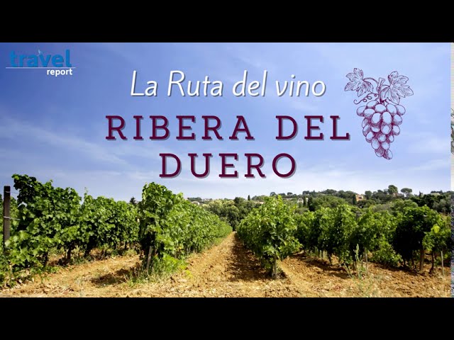 donde esta la ribera del duero