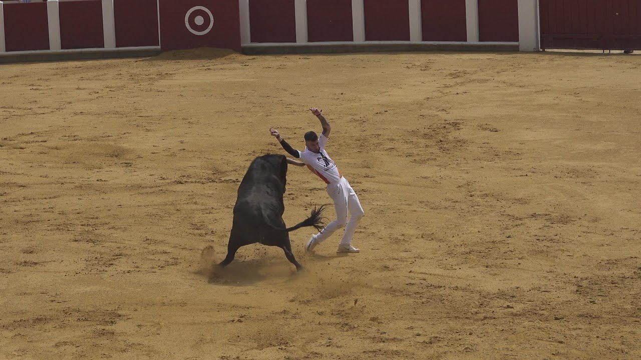 fiestas este fin de semana valladolid
