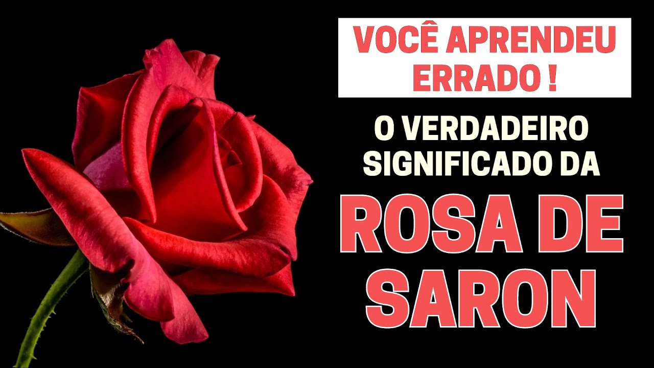 la rosa de saron significado biblico