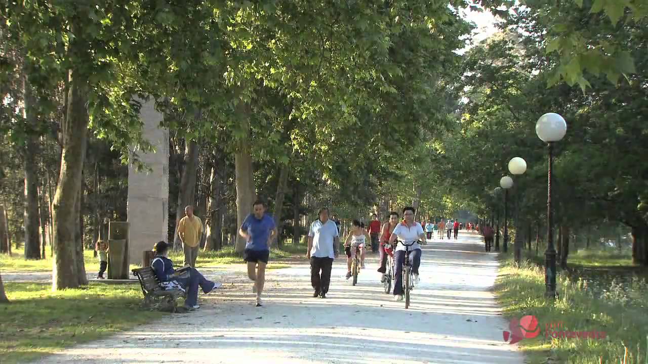 oficina municipal de turismo de pontevedra