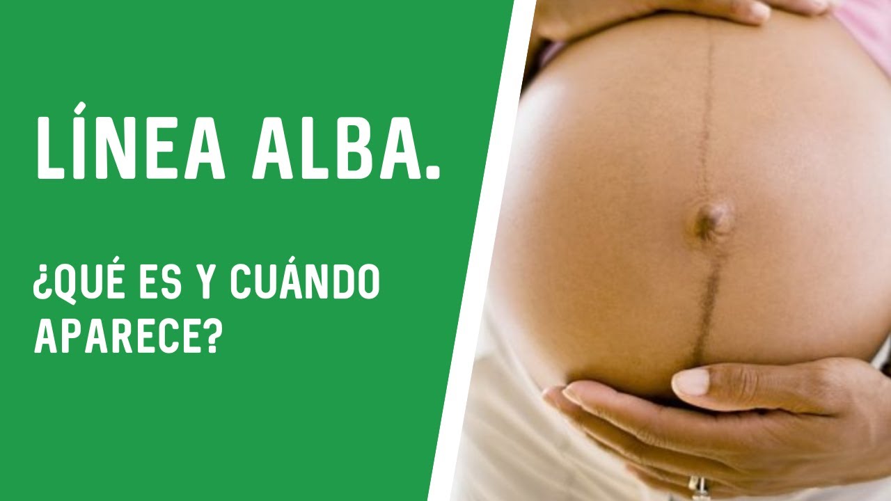 porque sale la linea alba en el embarazo