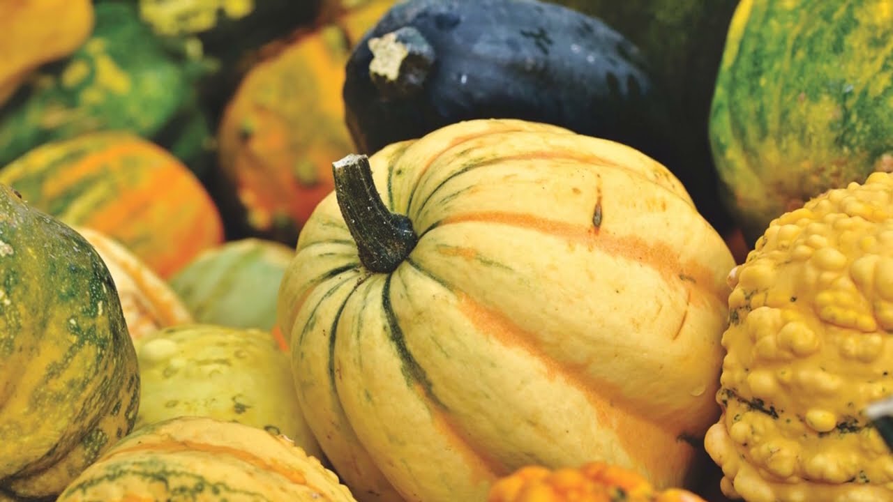 que significa soñar con calabazas tiernas