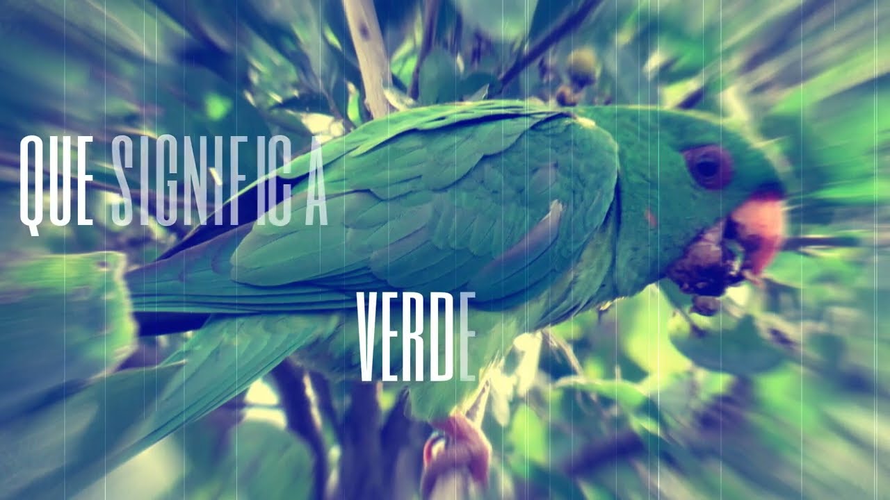 que significa soñar con pericos verdes