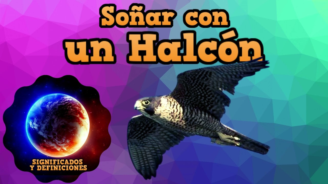 que significa soñar con un halcón