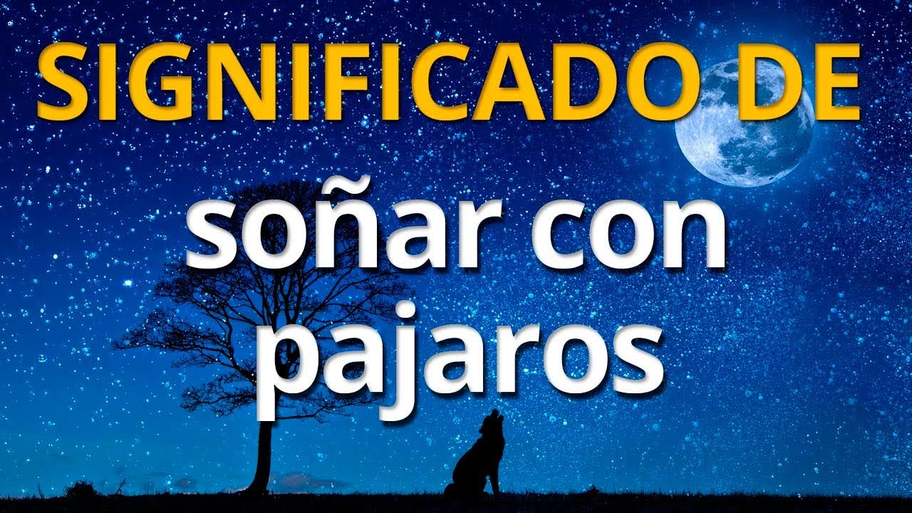 que significa soñar con un pajarito blanco