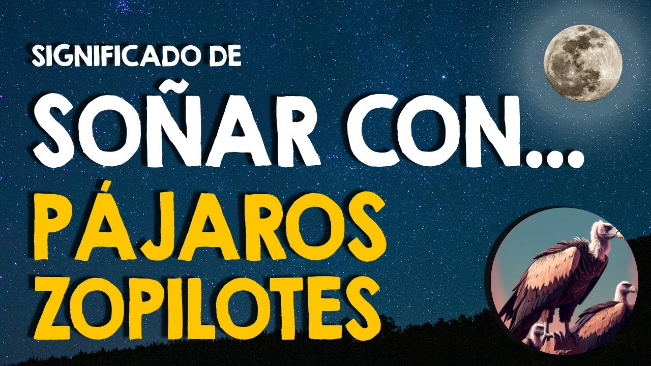 que significa soñar con un zopilote negro