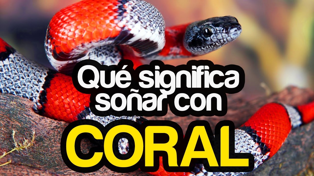 que significa soñar con una vibora coralillo