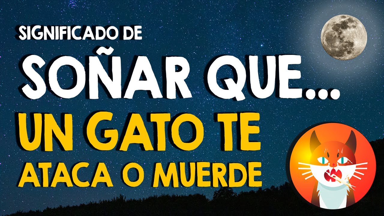que significa soñar que un gato te muerde la pierna