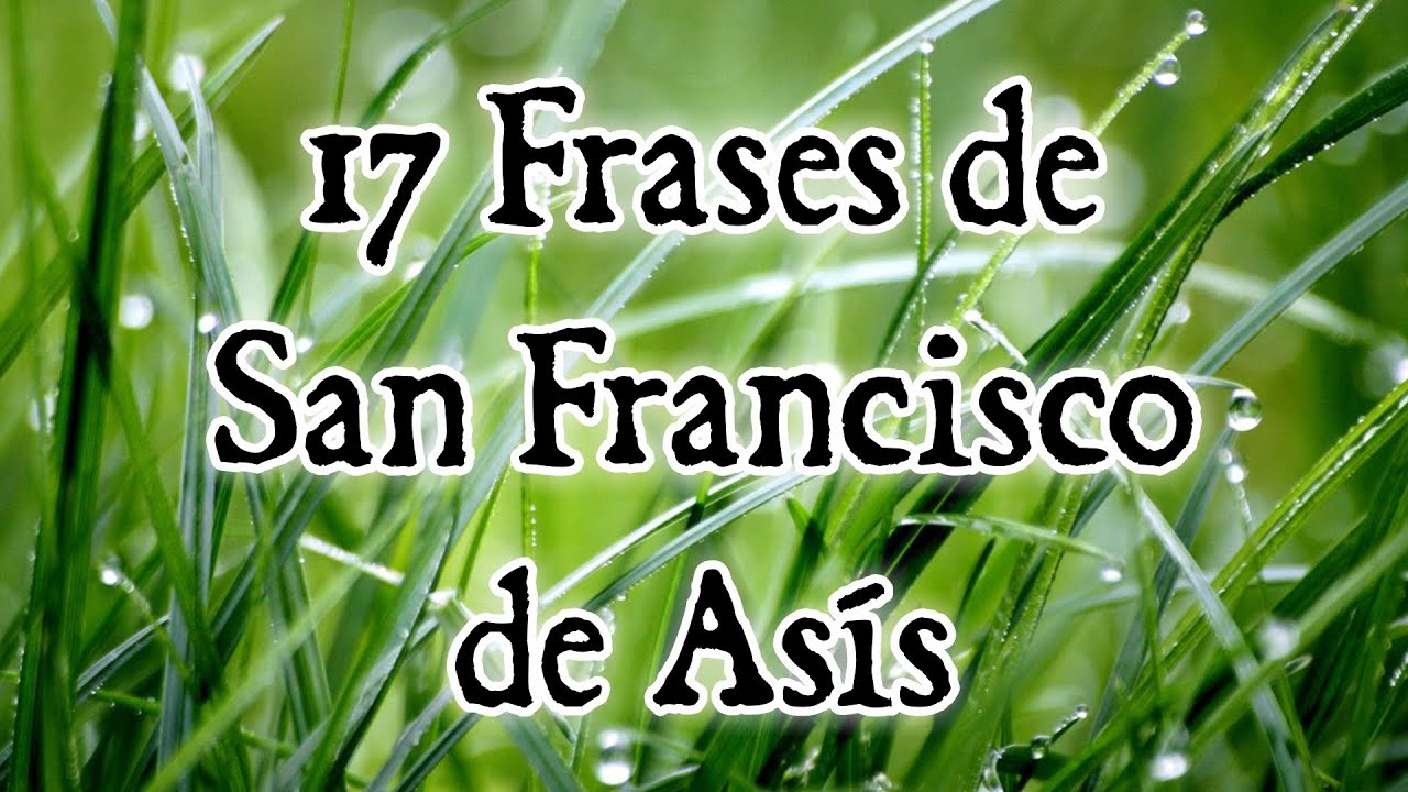 san francisco de asis imagenes con frases
