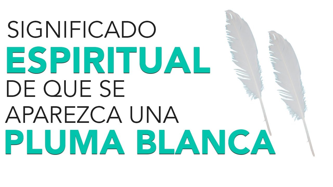 significado de ver una pluma blanca volando