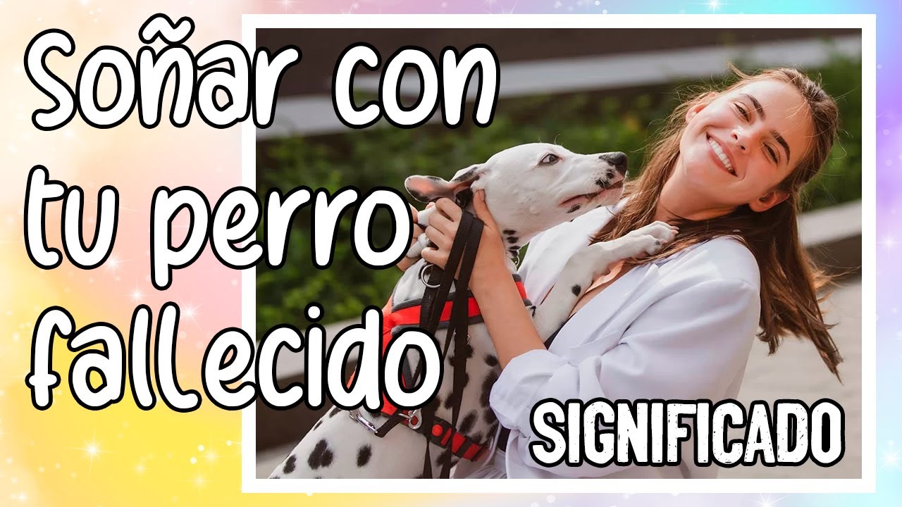 soñar con mascotas fallecidas y verlas vivas