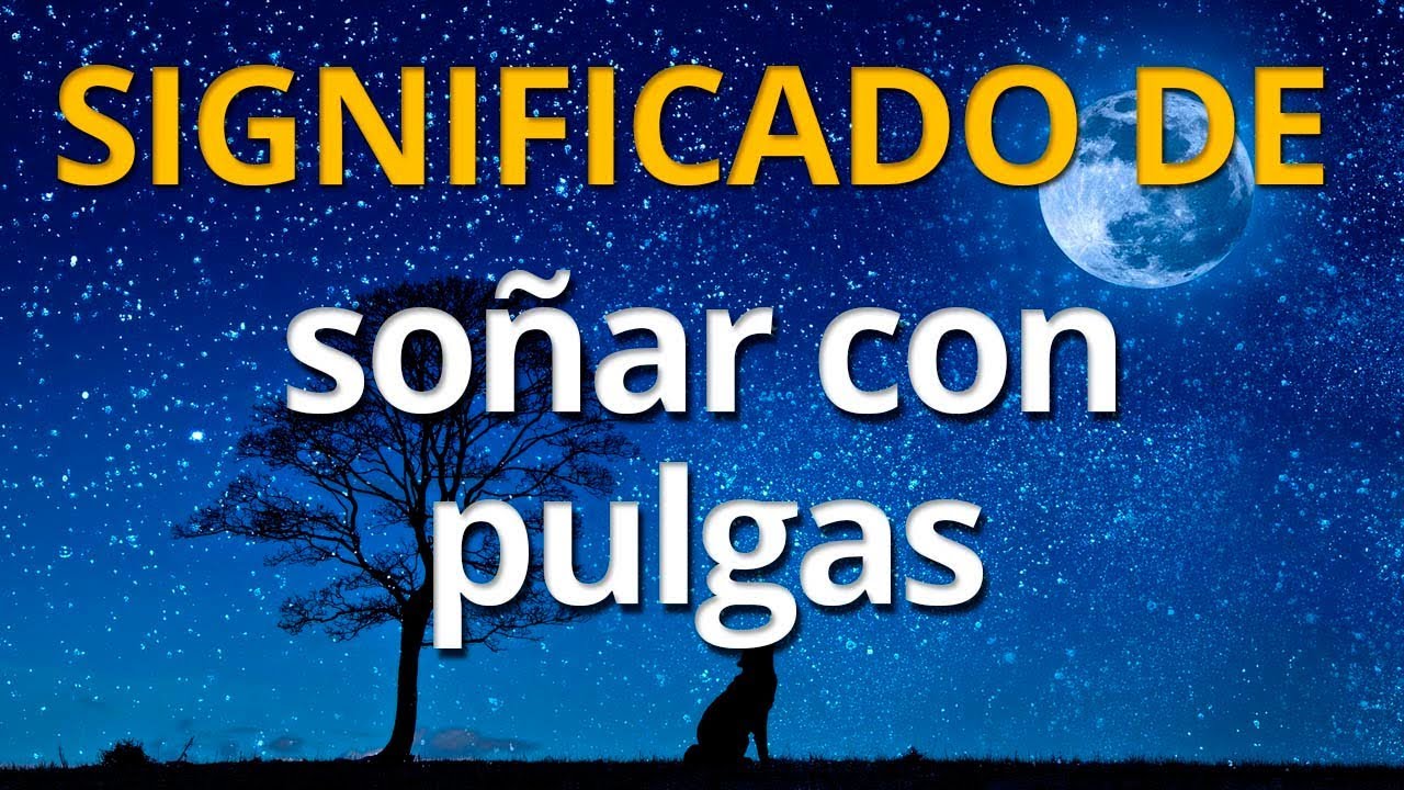 soñar con pulgas en el cuerpo