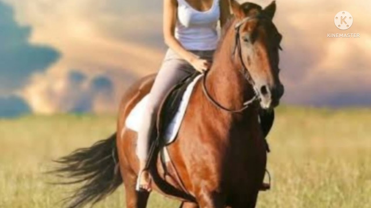soñar que mi pareja monta un caballo