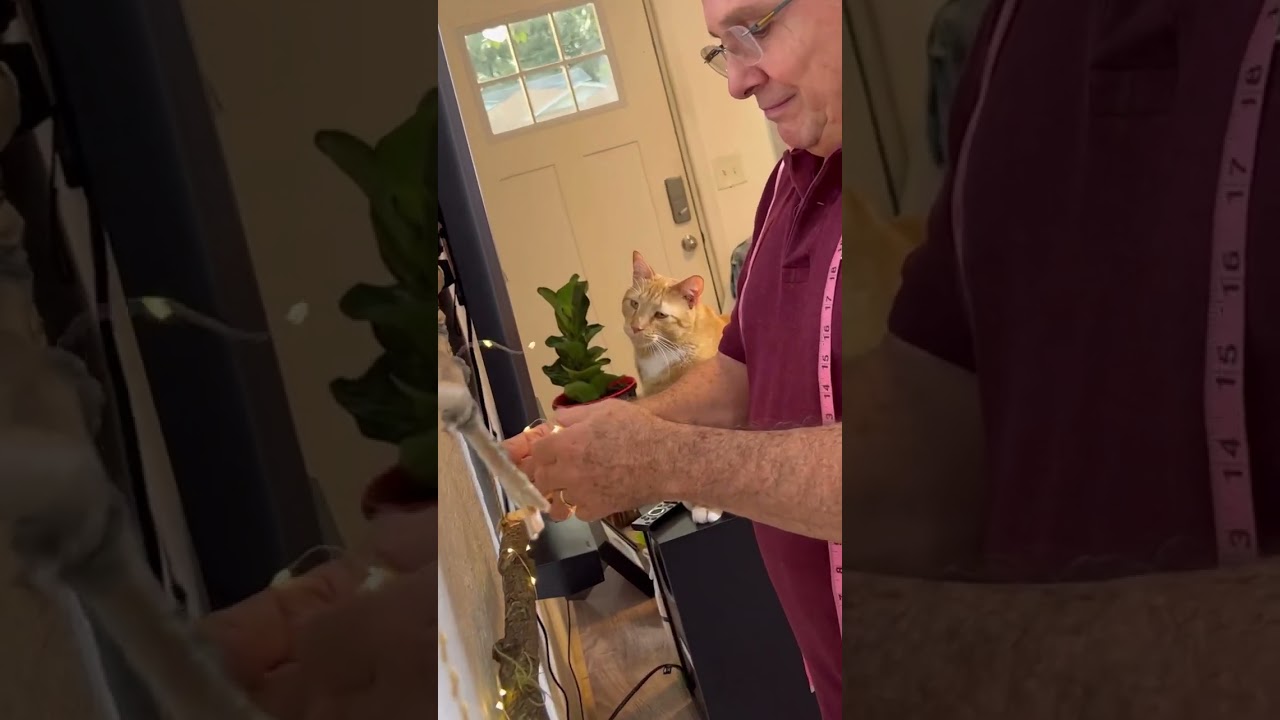 arbol navidad a prueba de gatos