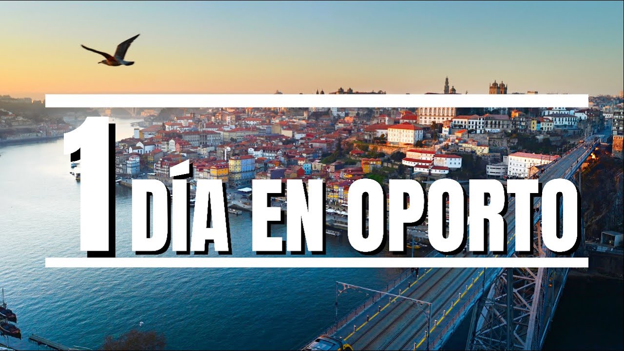 q ver en oporto en un dia